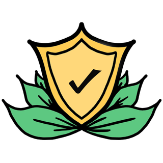 Safe Stanford